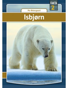 Isbjørn