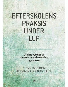 Efterskolens praksis under lup