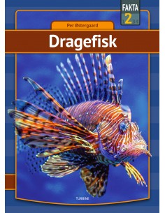 Dragefisk