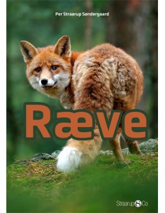 Ræve
