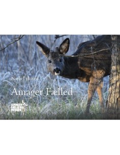 Amager Fælled