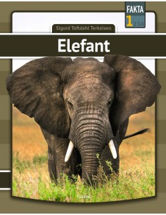 Elefant
