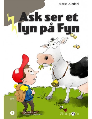 Ask ser et lyn på Fyn