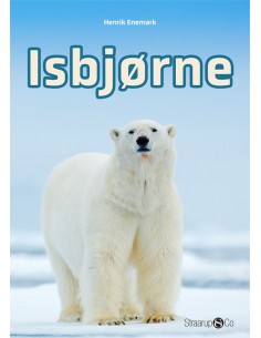 Isbjørne