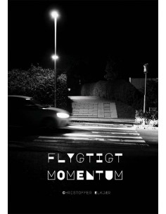 Flygtigt Momentum
