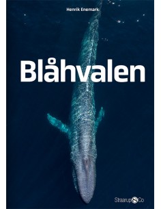 Blåhvalen
