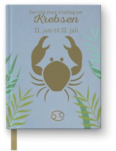 Den lille store citatbog om...