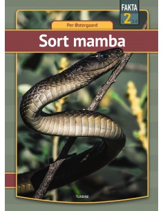 Sort mamba