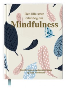 Den lille store citatbog om...