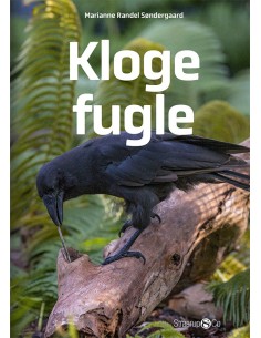Kloge fugle