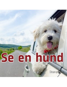 Se en hund