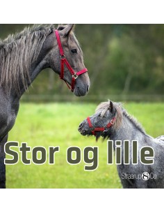 Stor og lille