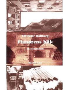 Flanørens blik