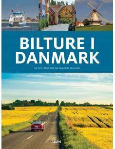 Bilture i Danmark