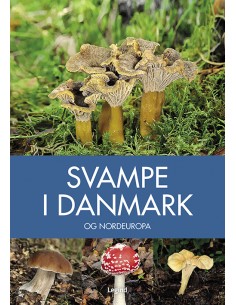 Svampe i Danmark