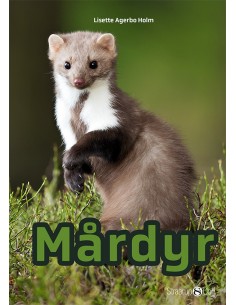Mårdyr