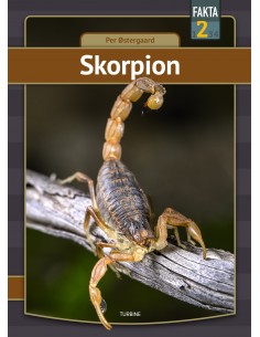 Skorpion