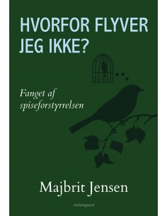 Hvorfor flyver jeg ikke?