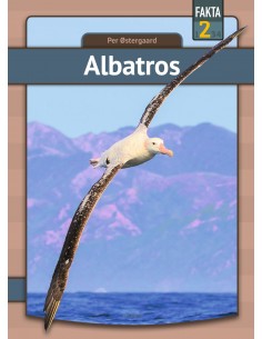 Albatros