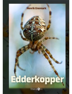 Edderkopper