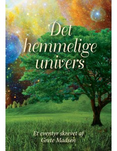 Det Hemmelige Univers