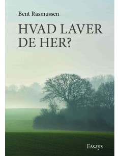 Hvad laver De her?
