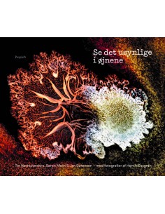 Se det usynlige i øjnene