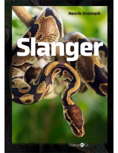 Slanger