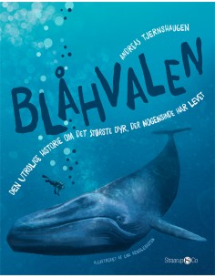 Blåhvalen