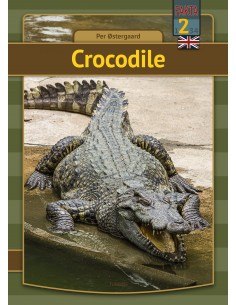 Crocodile