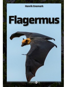 Flagermus