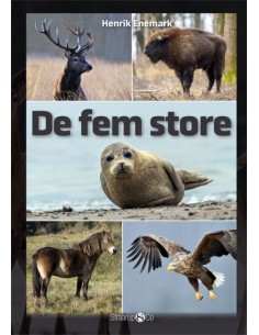 De fem store