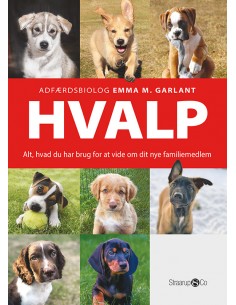 Hvalp