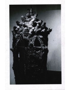 Vild, varm og varsom