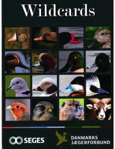 Wildcards - kort til...