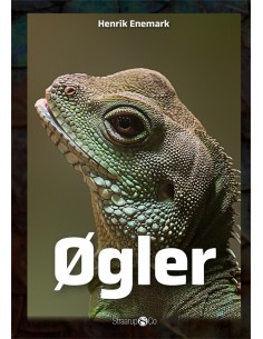 Øgler