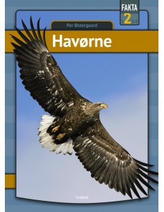 Havørne
