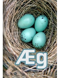 Æg