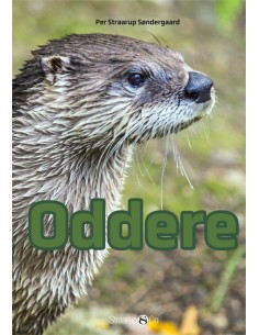 Oddere