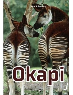 Okapi