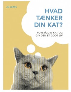 Hvad tænker din kat?