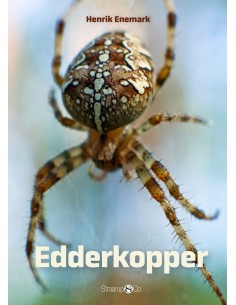 Spil & Læs - Edderkopper
