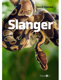 Spil & Læs - Slanger
