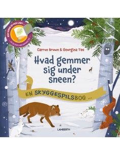 Hvad gemmer sig under sneen?