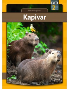 Kapivar