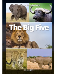 The Big Five