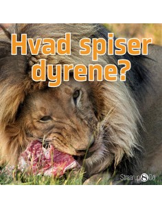Hvad spiser dyrene?