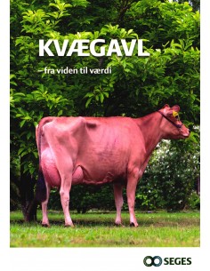 Kvægavl