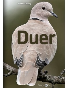 Duer