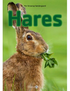 Hares